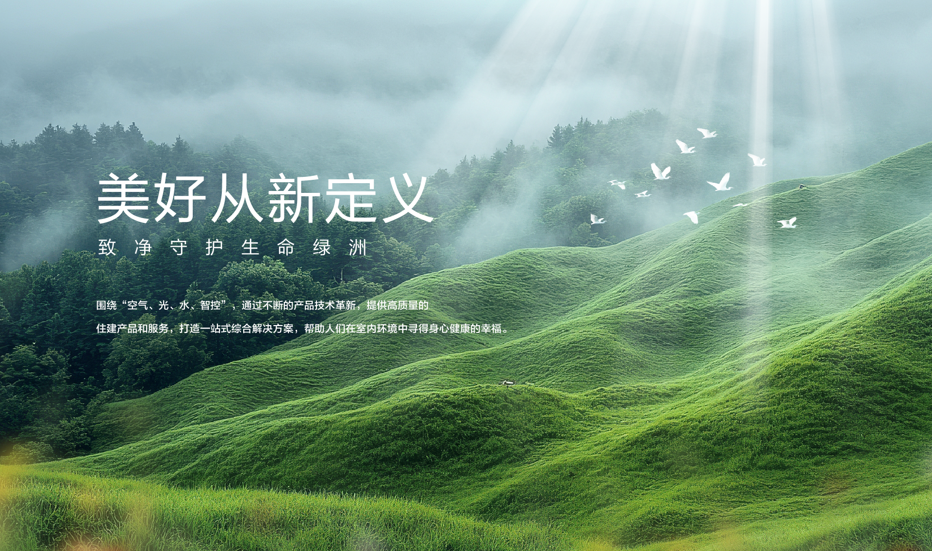 美好从新定义，致净守护生命绿洲